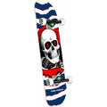 Tabla Completa " ASSY PP Ripper One Off Birch 7.75 291 K20 Navy"