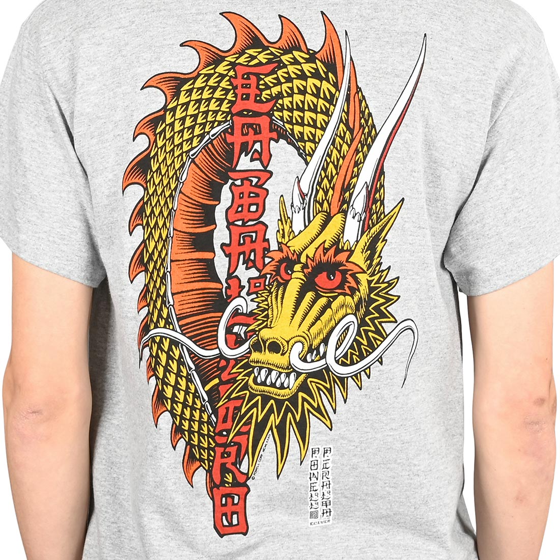 Playera "T-SH PP Steve Caballero Ban This Sport Gray"