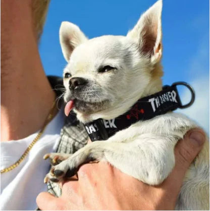 "Thrasher Dog Collar - Small 3/4"